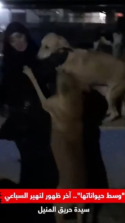 وسط حيواناتها.. آخر ظهور لنهير السباعي سيدة حريق المنيل