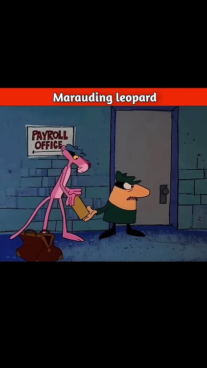 Marauding leopard