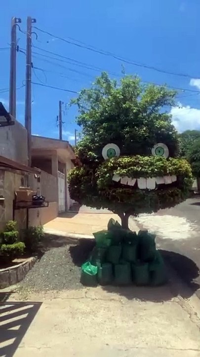 Trabalho de escultura realizado em árvore chama a atenção em rua no Douradinho.