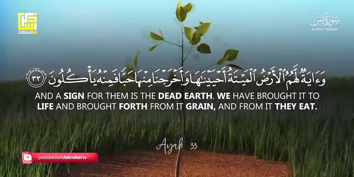 Most beautiful recitation of Surah Yaseen (Yasin) سورة يس ⋮ Zikrullah TV