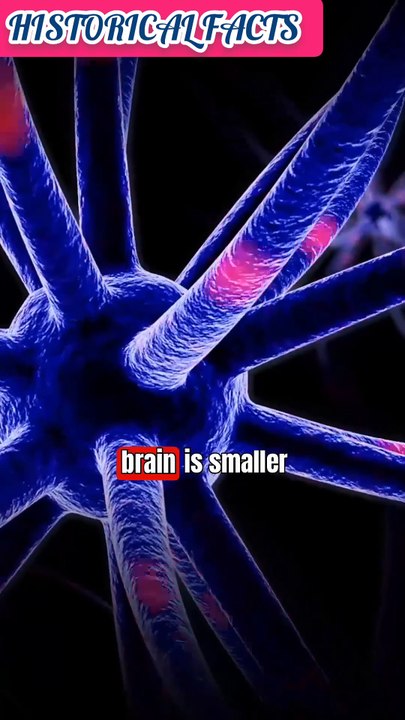 Did you know about ostrich 🤔🤯#viral#trending#facts#factsinenglish#englishfacts#fact