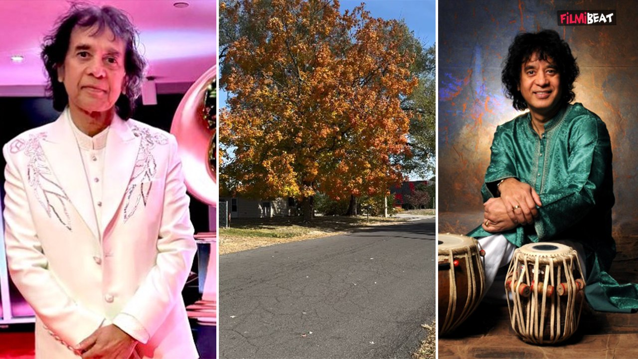 Zakir Hussain Passed Away: तबला वादक का आखिरी Instagram Post हुआ Viral । Filmibeat