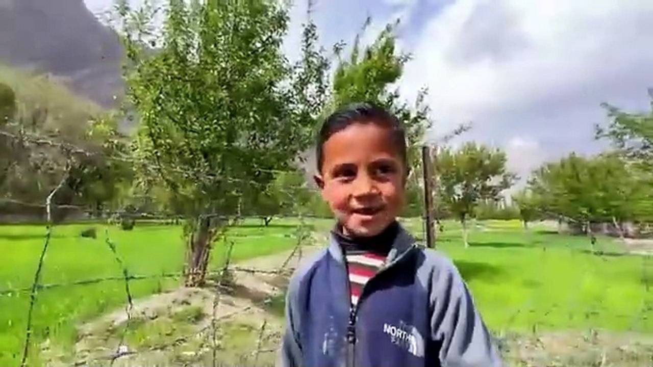 Life Of A Grand Mother Alone in The Mountains Of Gilgit Baltistan _ Very Hard Lifestyle _