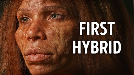 Scientists Found Proof of Human Species Mixing