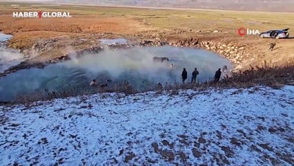 Eksi 15 derecede atların kaplıca keyfi