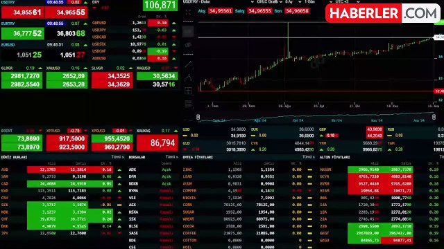 Amerikan doları Türk lirası karşısında geçen haftanın zirvesini geride bırakarak yeni rekor kırdı