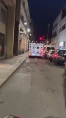 Un perro persigue la ambulancia de su dueño y conquista el corazón de los paramédicos