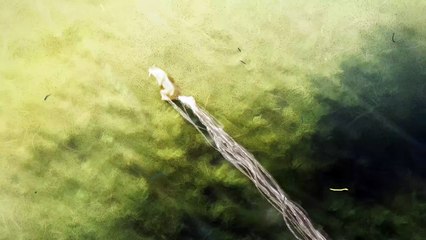 Okami Sequel | Project Teaser Trailer