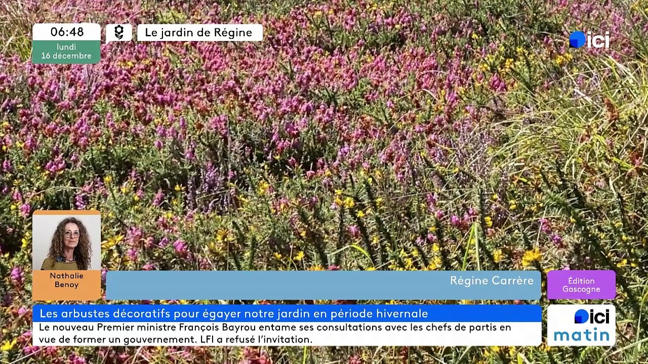 16/12/2024 - ICI Matin France Bleu Gascogne en vidéo