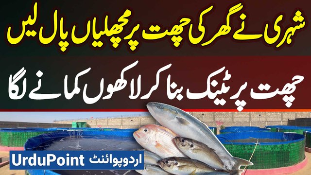 Fish Farming Tank Setup at Roof - Biofloc Fish Farming Process - Biofloc Fish Farming in Pakistan