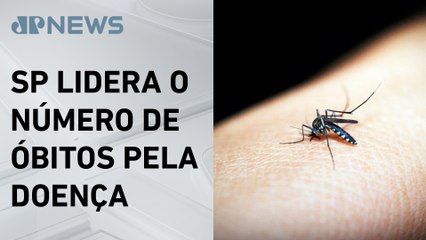Brasil registra quase 6 mil mortes por dengue em 2024