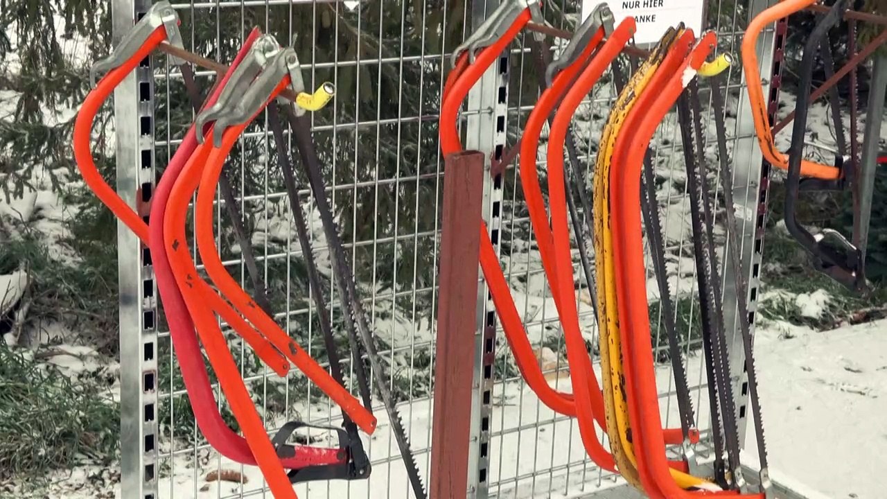 Weihnachtsbaum: Was man bei Kauf und Pflege beachten muss