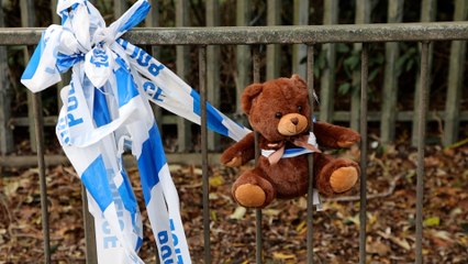 Police hunt driver after boy, 2, killed in car crash involving stolen Porsche