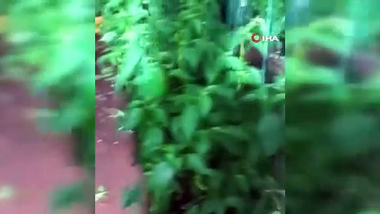 Şehri sağanak vurdu, Antalya'yı sel aldı!