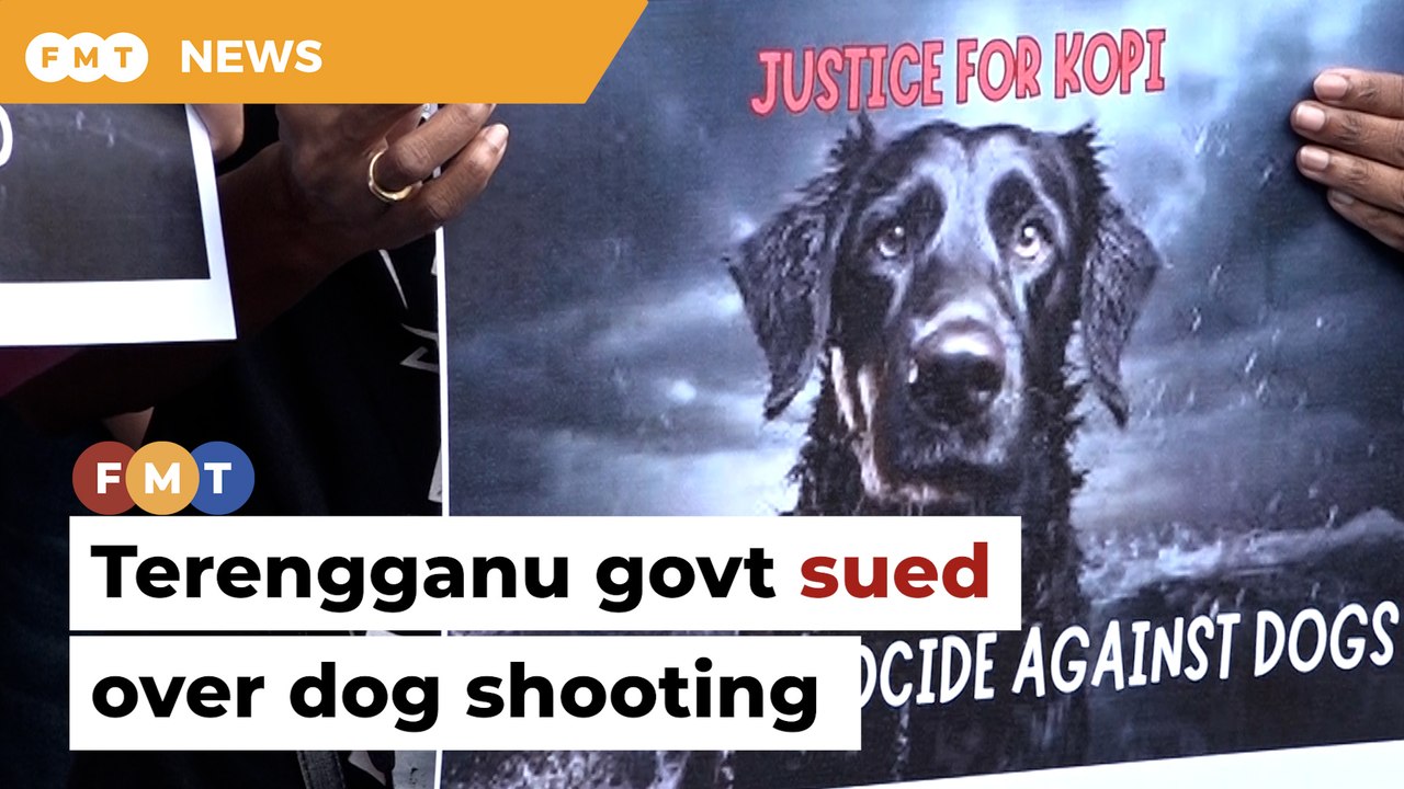 Animal lovers sue Terengganu govt, Besut council over dog shooting