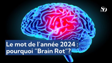 Le mot de l’année 2024 : pourquoi “Brain Rot”?