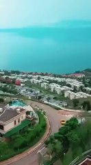 Girl Marries a Stranger, Only to Discover He's the CEO & Father of Her Child! 😲