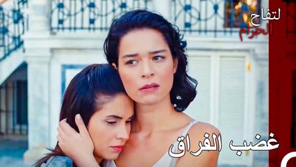 هل تركت الرجل الذي تحبينه بهذه السهولة؟ - التفاح الحرام الحلقة ال 43