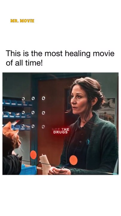 Hollywood Movie Scenes