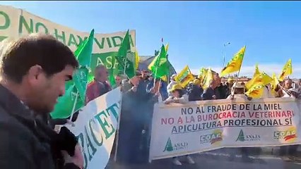 Agricultores y ganaderos se manifiestan en Madrid contra acuerdo entre UE y Mercosur
