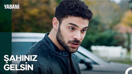 Tehditlere Boyun Eğecek En Son Kişi - Yabani