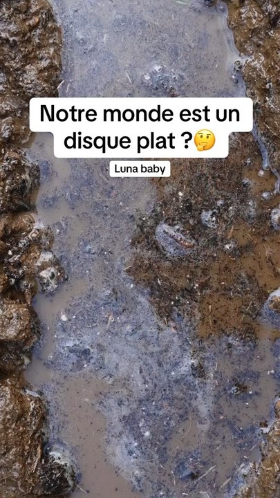 Réveillez-vous