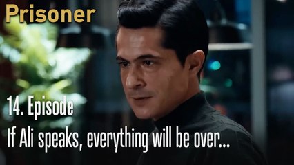 If Ali speaks, everything will be over...-Episode 14