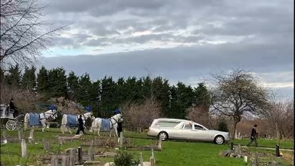 Michael Collins funeral: Watch plane doing skywriting overhead