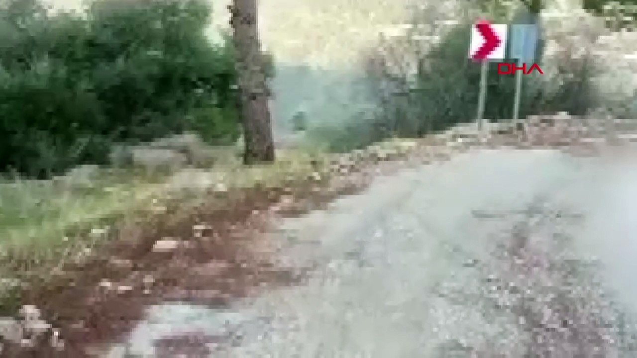 Direksiyonda canlı yayın yaparken kaza yaptı