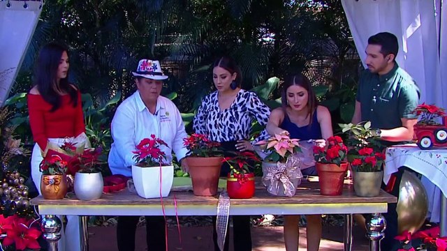 bd-como-cuidar-sus-pastoras-161224