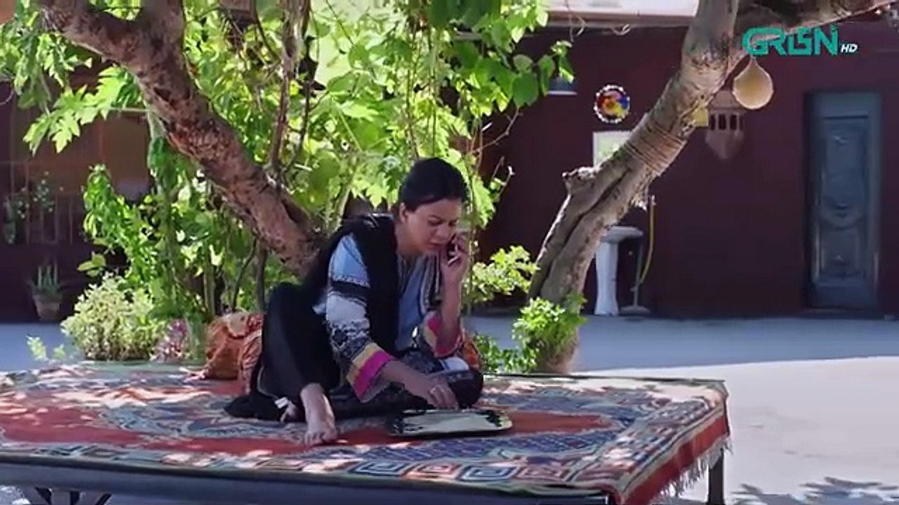 Diyar e Yaar Episode 01  - 16th Dec 2024