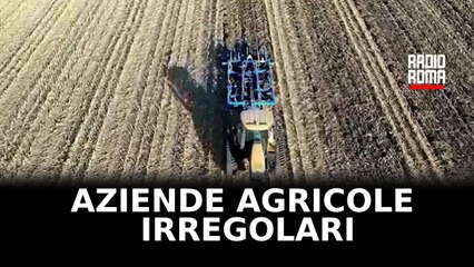 A Latina 18 aziende agricole irregolari su 29