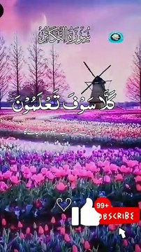 #peace #Sure Takasour#peace #quran #youtubeshorts #viralshorts #trendingshorts #viqarishaq