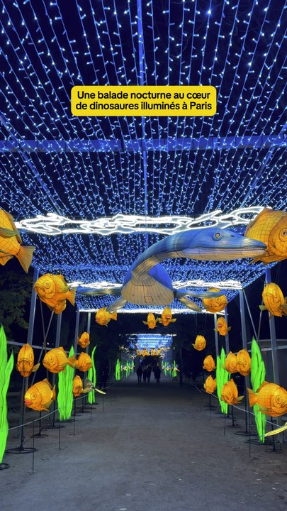 Jurassique en voie d’illumination ✨🦕