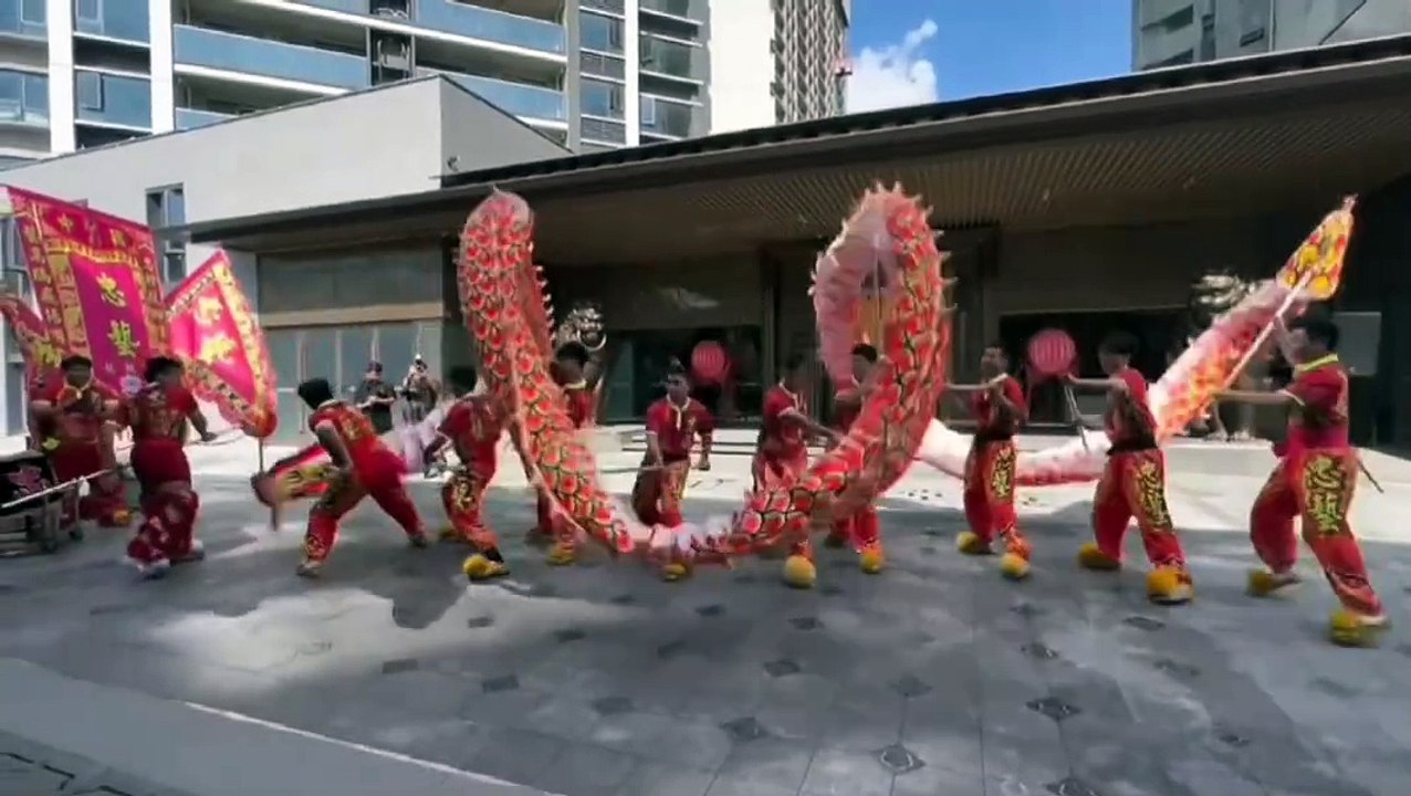 Fire Dragon Dance #firedance #viralvideo #dancing #dragon