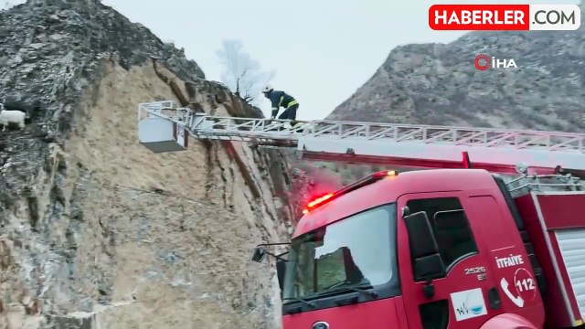 Dağda Mahsur Kalan 4 Keçi İtfaiye Tarafından Kurtarıldı