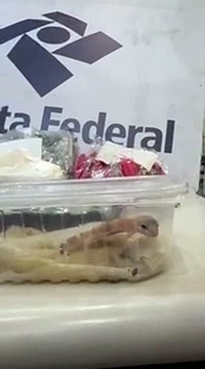 Receita Federal apreende cerca de R$ 850 mil em...