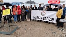 Mersin'de Deniz Kaplumbağalarının Yuvalama Alanına Müdahale Tepkisi