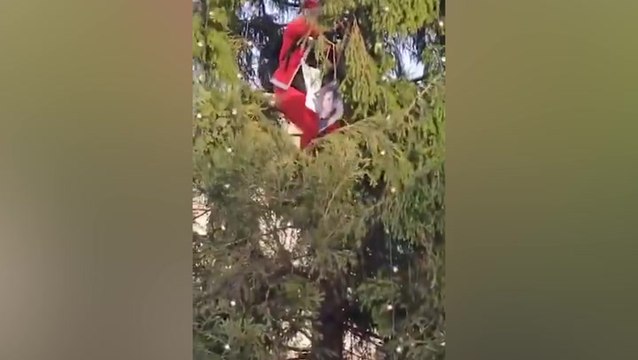 Protester scales Trafalgar Square tree dressed as Santa