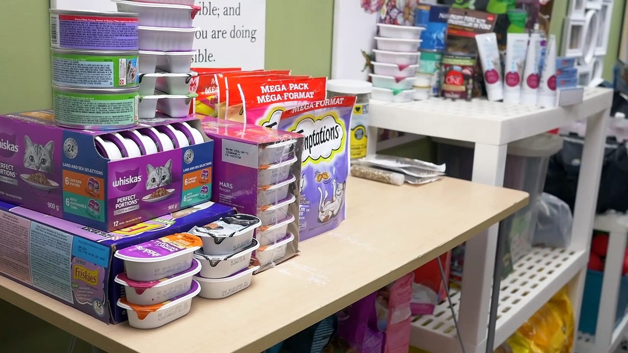 16 dec TOPO LPM reseau protection animaux