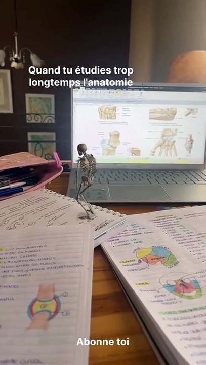 YouTube Laura Orvélie 🧠🎀