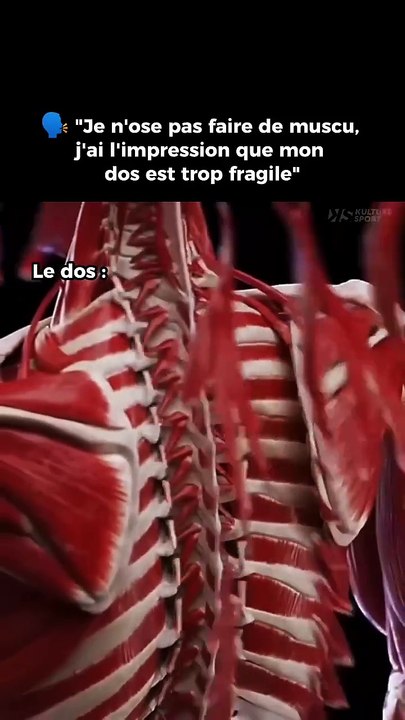 YouTube Laura Orvélie 🧠🎀