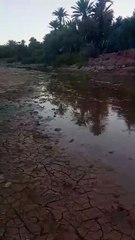 وادي إيفغ يعود من جديد بعد امتلاء السد