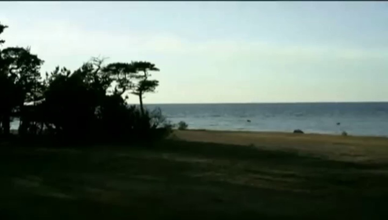 Der Kommissar und das Meer -11- Allein im finsteren Wald