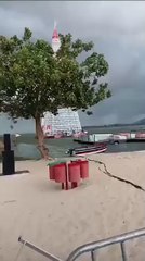 Homem morre após queda de árvore de natal no RJ