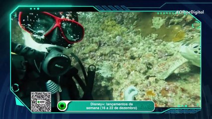 Disney+: lançamentos da semana (16 a 22 de dezembro)