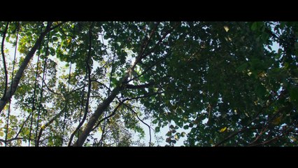 Kishkindha Kaandam (2024) Official Trailer | Epic Monkey Adventure Unfolds 🐒