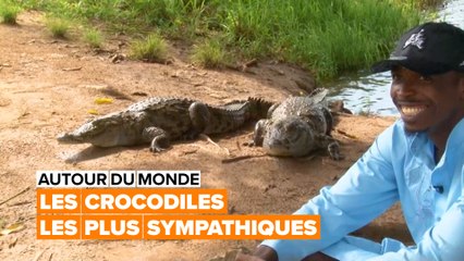 Tour du monde : rencontrez les crocodiles les plus sympathiques