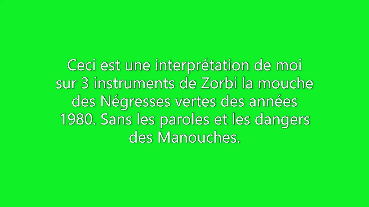 Zorbie la mouche des NÉGRESSES VERTES de France (1989) cover instrumentaux de Sylvain.