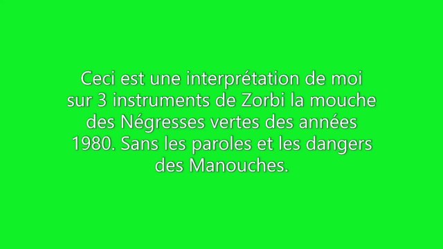 Zorbie la mouche des NÉGRESSES VERTES de France (1989) cover instrumentaux de Sylvain.